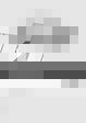 Document Thumbnail